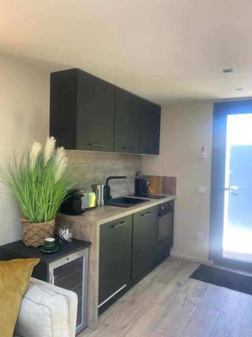 A Lombre Du Magnolia Apartment ลีล-ซูร์-ลา-ซอร์ก ภายนอก รูปภาพ